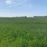 In Nieuwpoort By * Koksijde