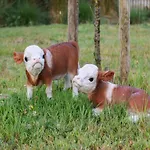 Apartment In Nieuwpoort By Koksijde