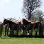 In Nieuwpoort By Koksijde